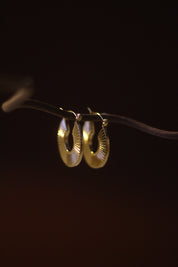 Golden Ripple Gold Earrings
